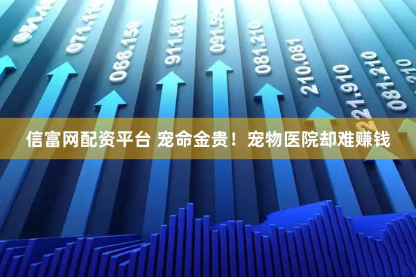 信富网配资平台 宠命金贵！宠物医院却难赚钱